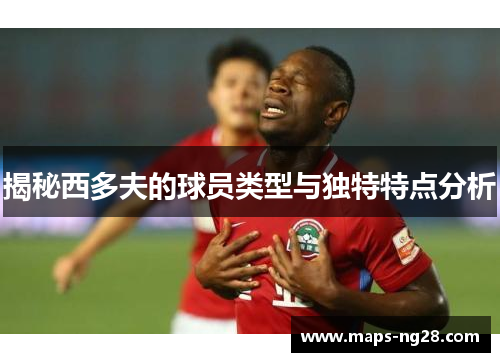 揭秘西多夫的球员类型与独特特点分析